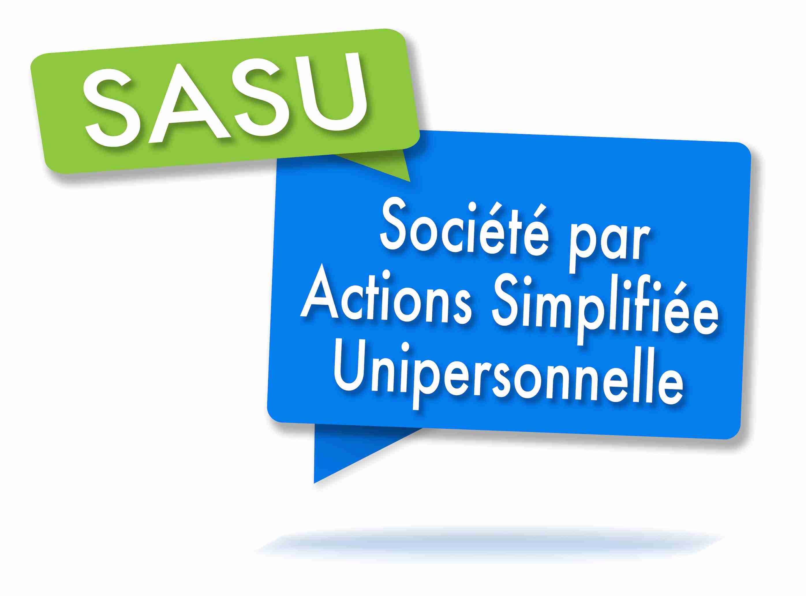 Transformation SASU en EURL : guide pratique