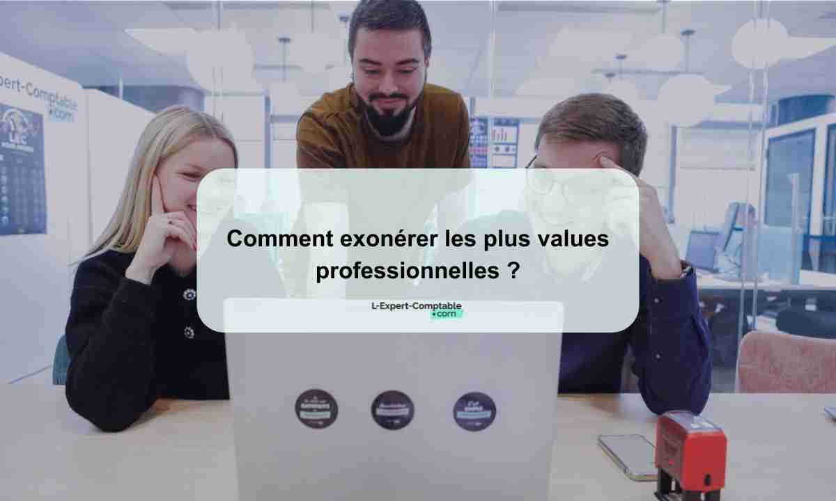 Comment exonérer les plus values professionnelles 