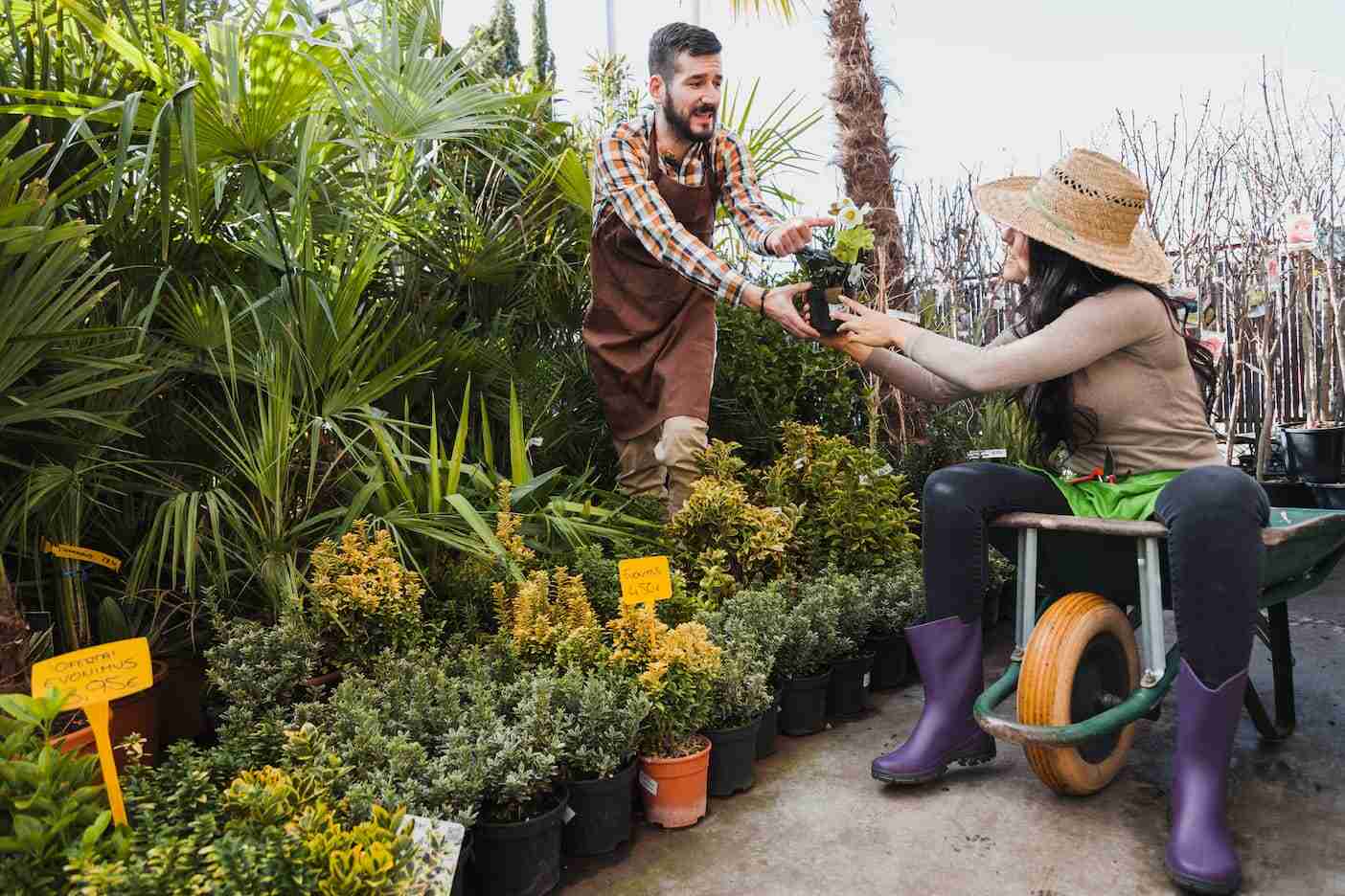 Créer une entreprise de jardinage et entretien d'espace vert