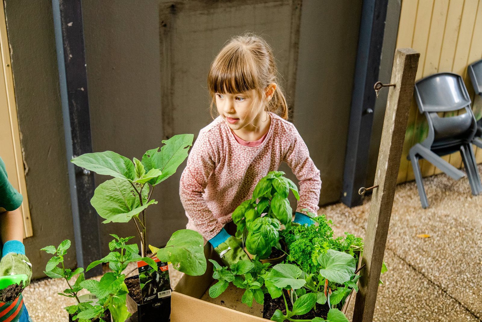 Early-Learning-Gardening