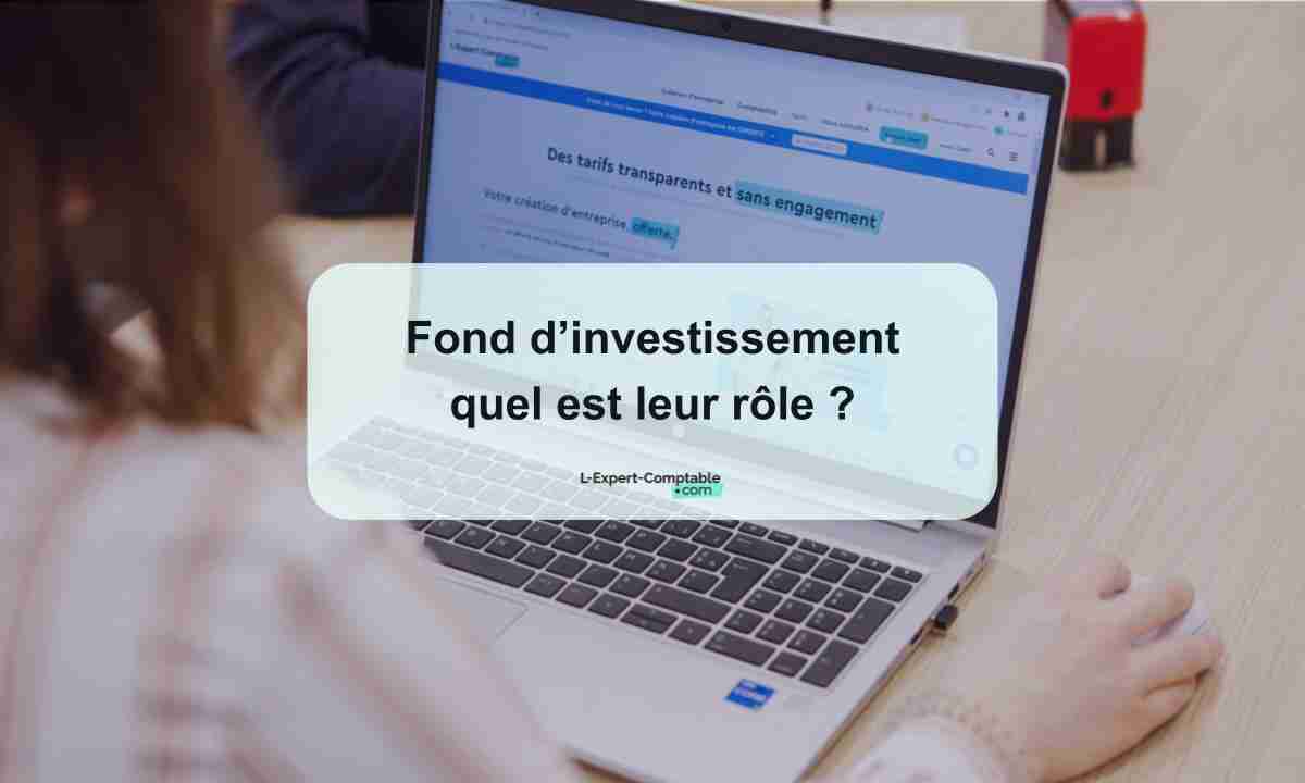 Fond d’investissement quel est leur rôle 