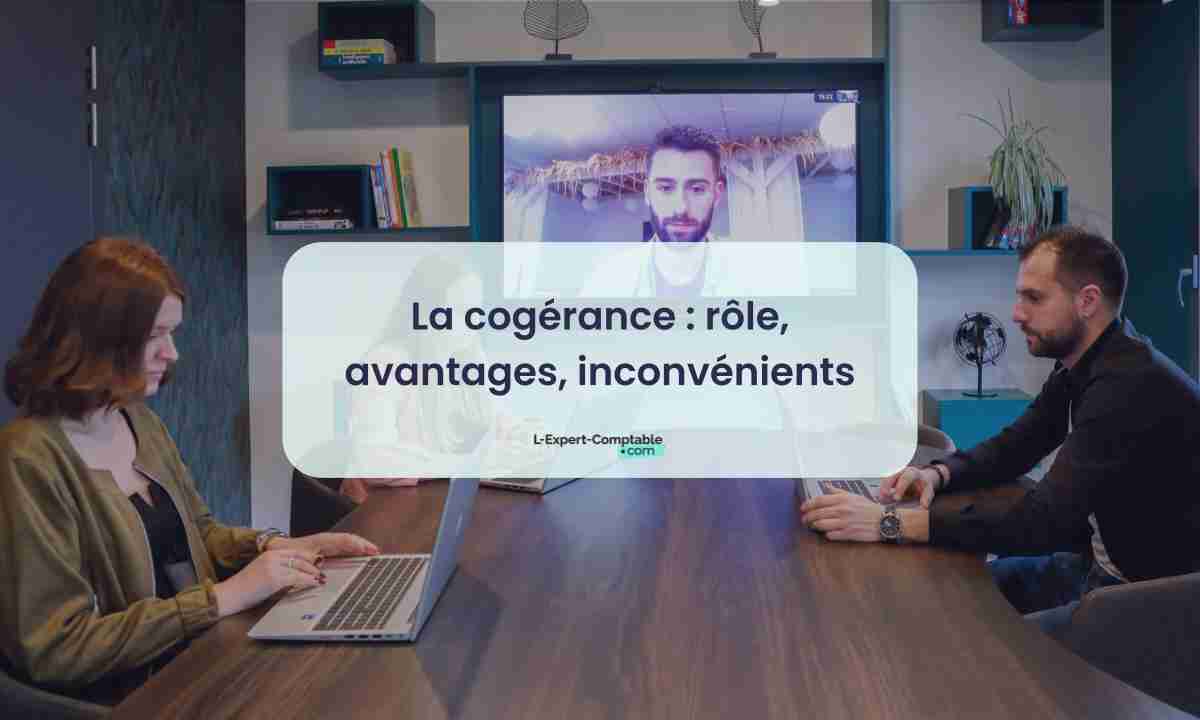 La cogérance rôle, avantages, inconvénients