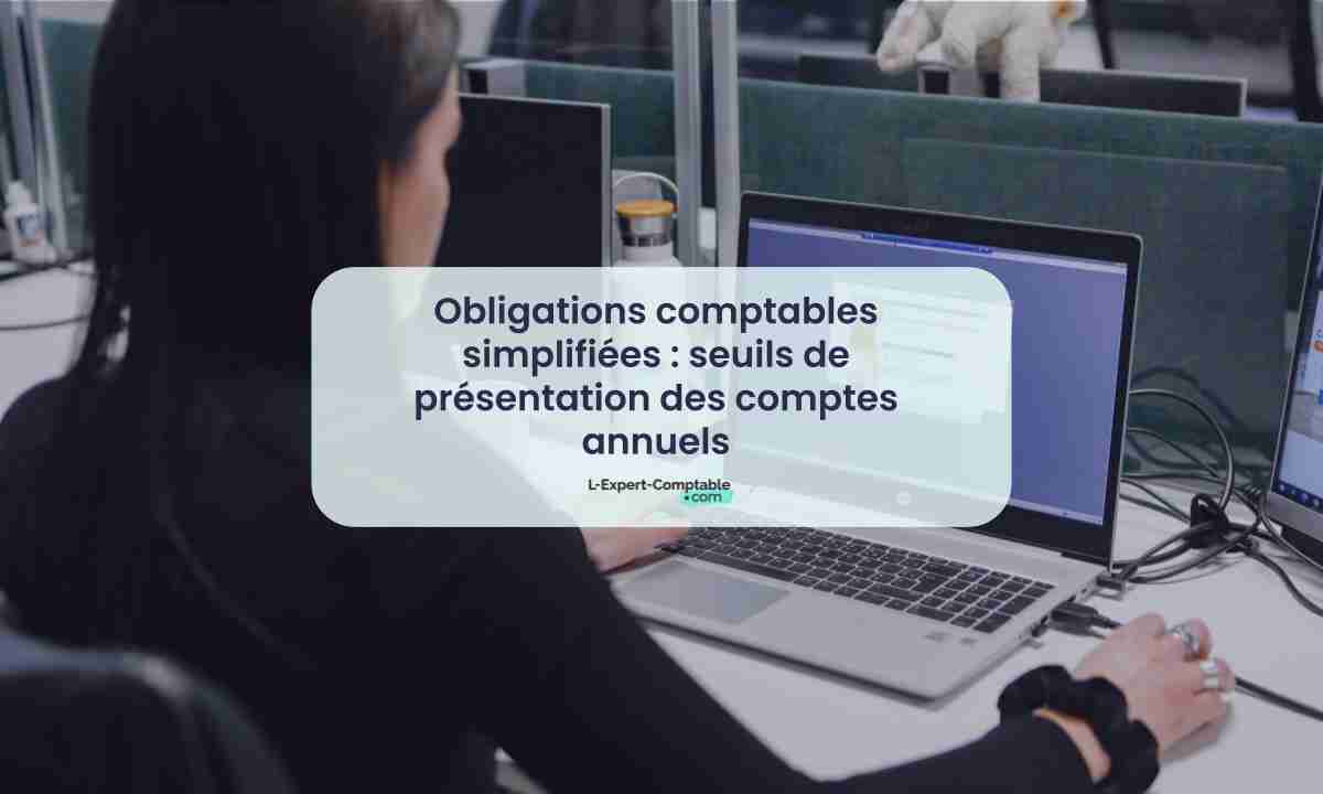 Obligations comptables simplifiées seuils de présentation des comptes annuels