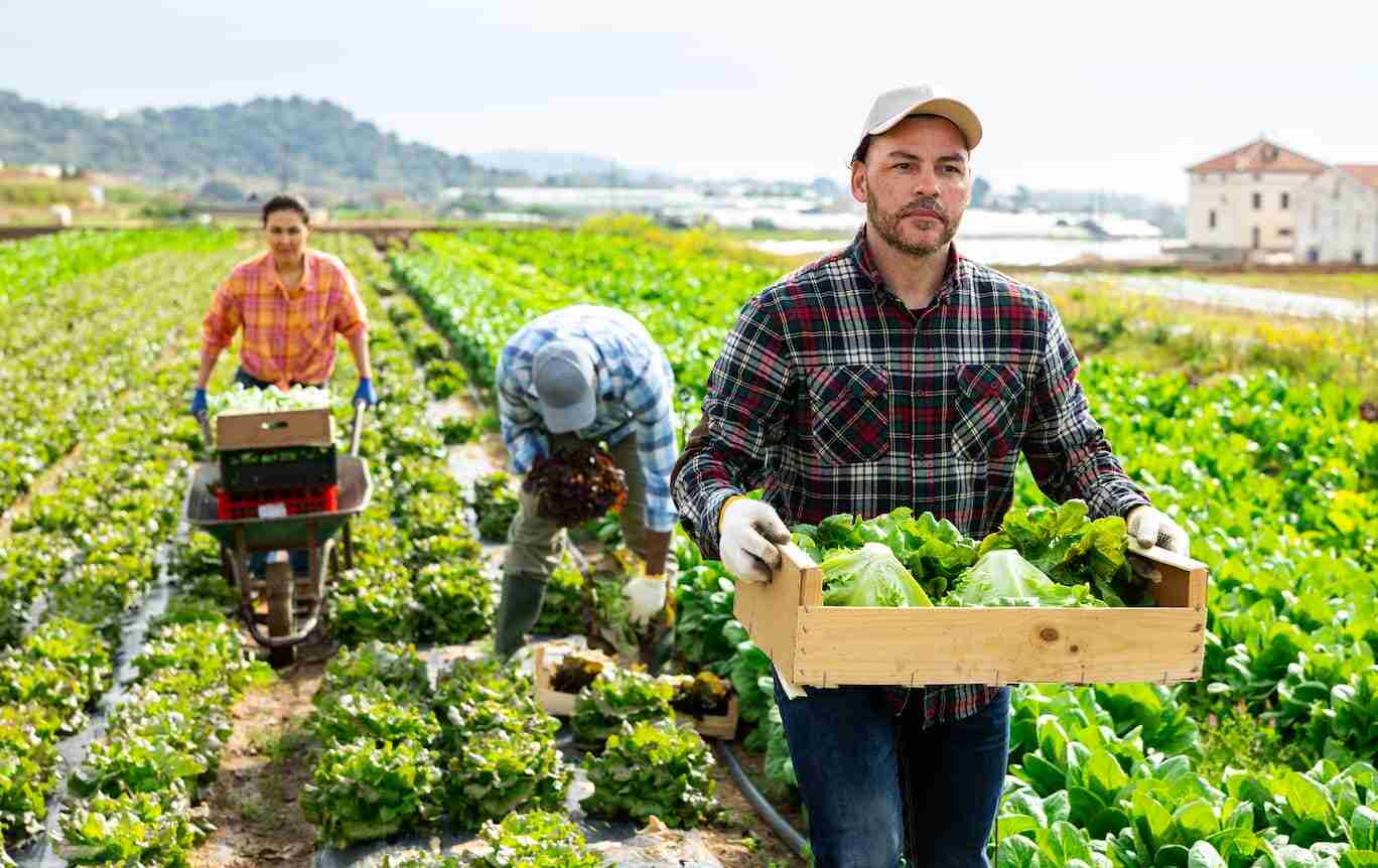 Ouvrier agricole métier, salaire, formation, diplômes