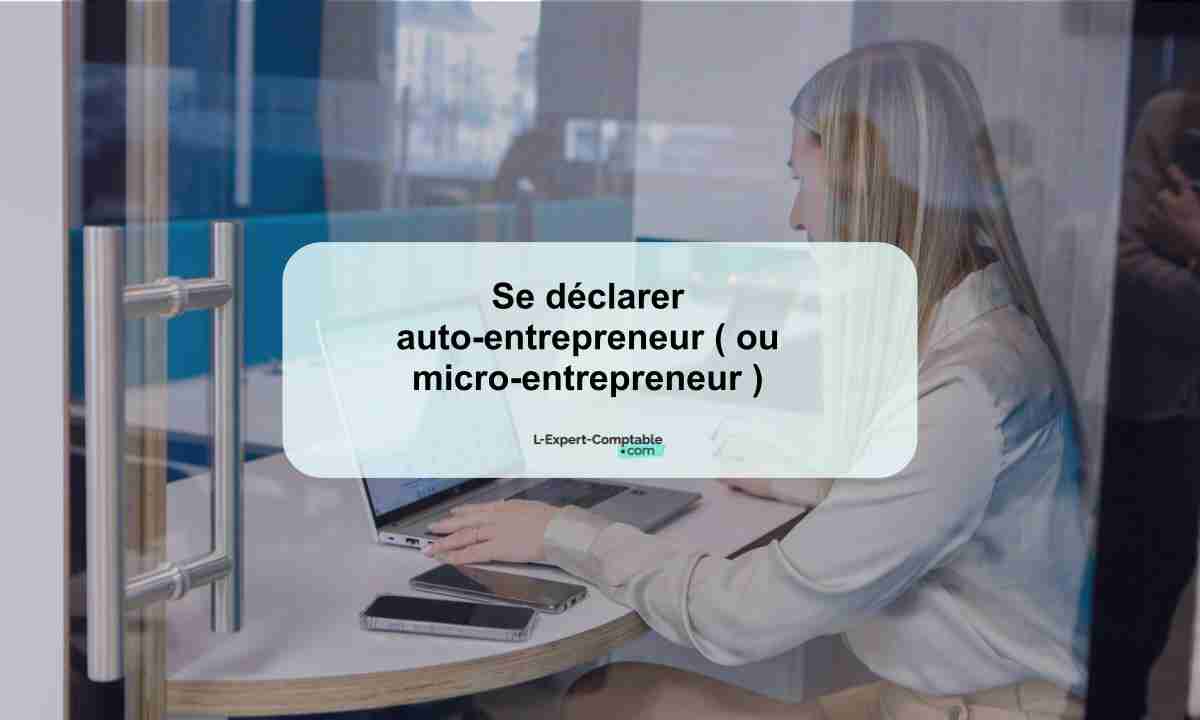 Se déclarer auto-entrepreneur ( ou micro-entrepreneur )